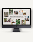 Love Your Single Life: How to stop putting your life on hold while you wait for love